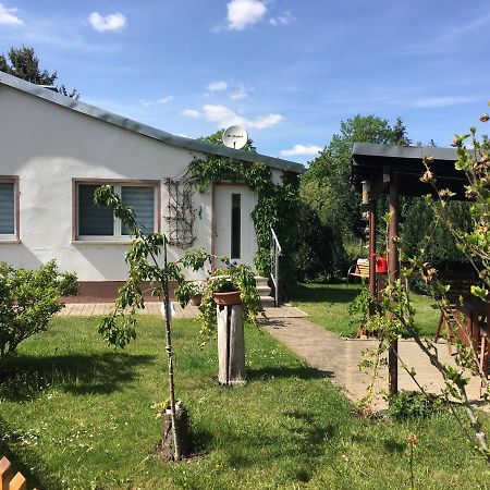 Ferienhaus An Der Selke Meisdorf Exteriér fotografie